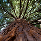 Image for article titled We're Not as Doomed as We Think, Ecologists Argue